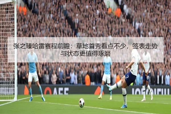 张之臻哈雷赛程前瞻：草地首秀看点不少，签表走势与状态更值得琢磨
